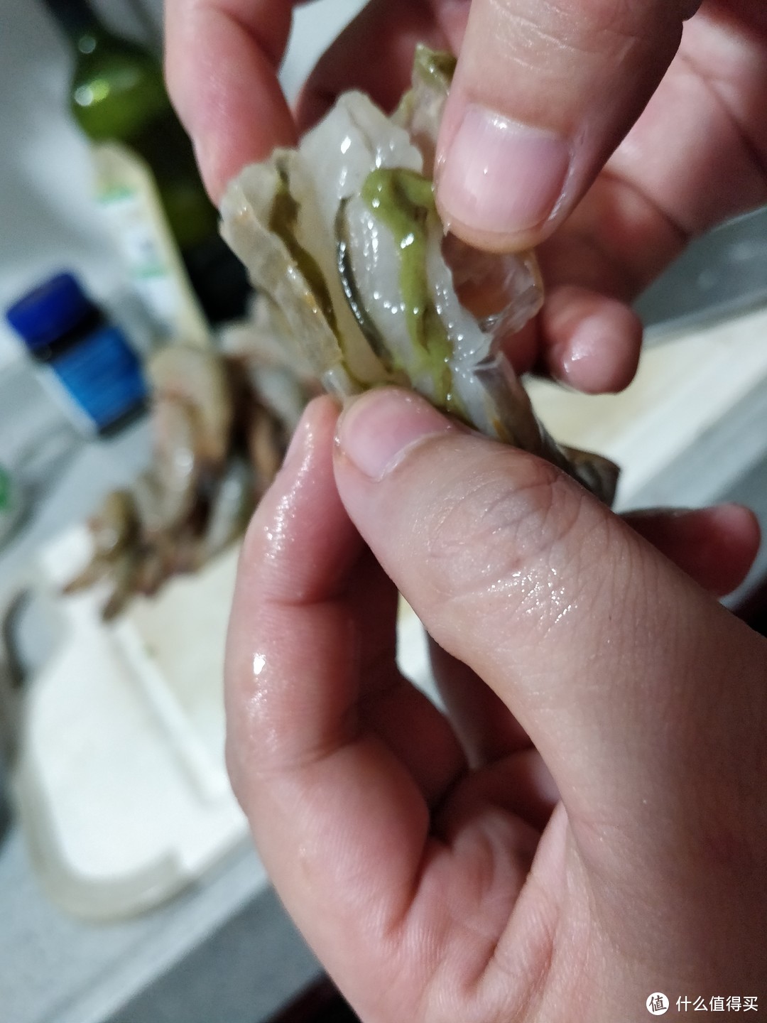 野生虾吃的海藻之类的食物