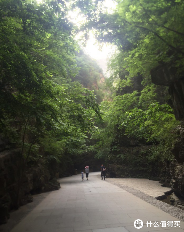 进山的小路，今天有点阴雨，加上出门很早，所以路上行人不多