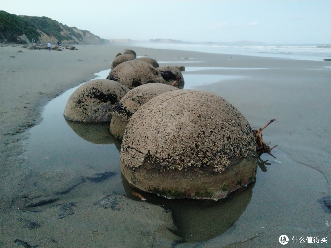 去中土世界寻魔戒（新西兰跳伞、蹦极、钓龙虾）