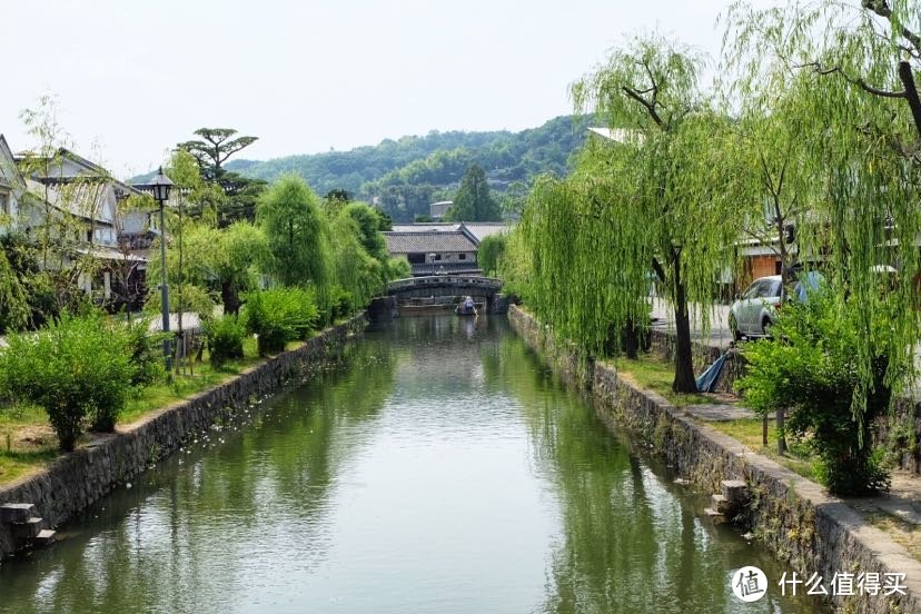 晴天王国天价桃，日本乌镇不看猫