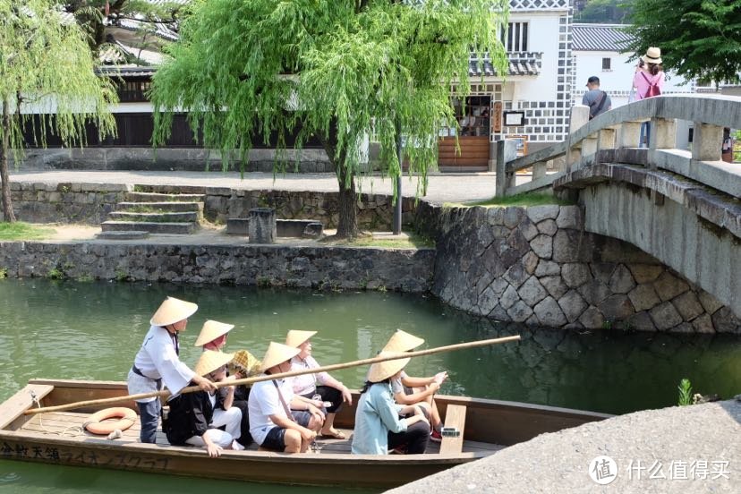 晴天王国天价桃，日本乌镇不看猫