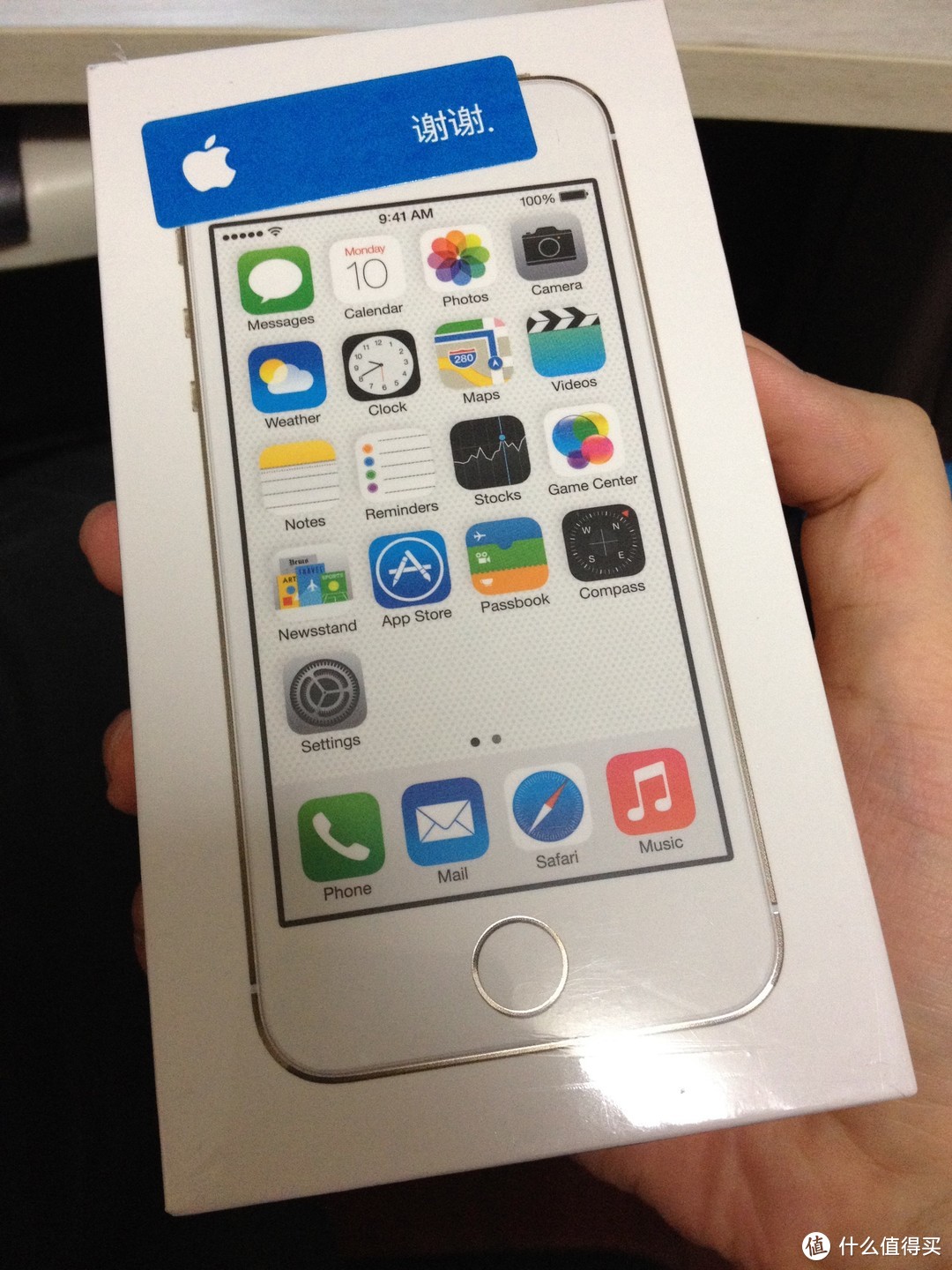 iPhone 5S