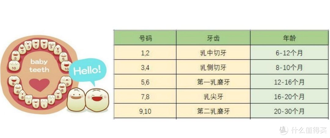 重视孩子口腔健康从现在开始 关于宝宝乳牙，这些你知道吗？