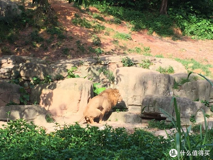 国内亲子游的最佳去处 广州长隆旅游度假区