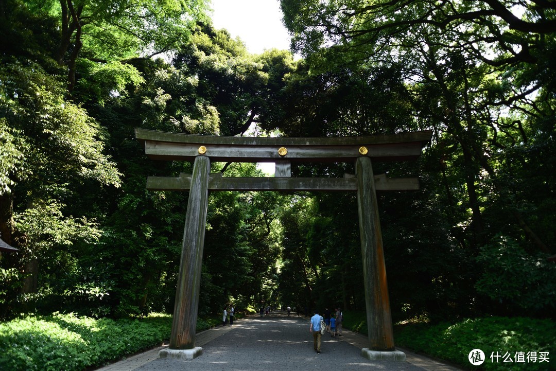 旅行轻攻略，初夏の日本九日行