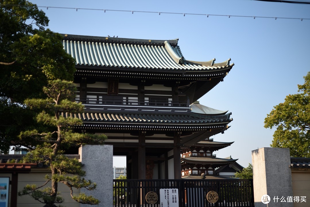 旅行轻攻略，初夏の日本九日行