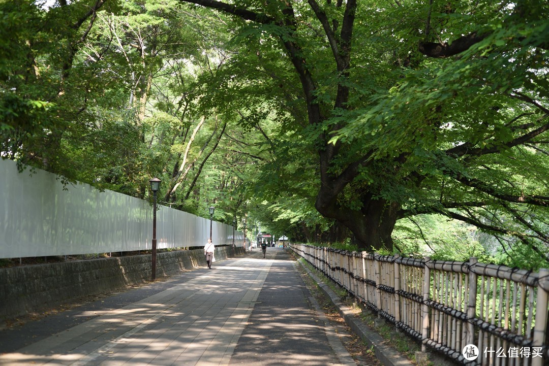 旅行轻攻略，初夏の日本九日行