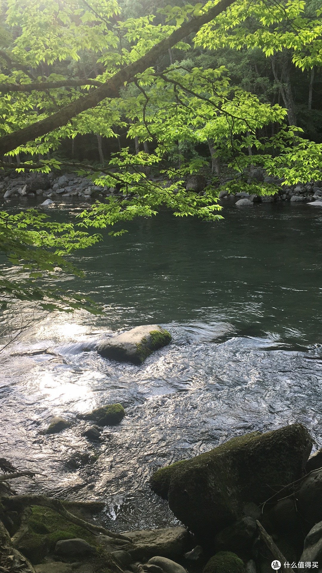 餐厅外的溪流