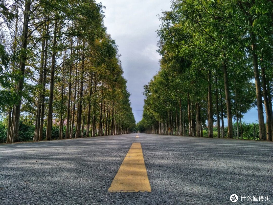 魔都唯一不通公路的小岛：来一次不完整的上海崇明横沙岛环岛徒步