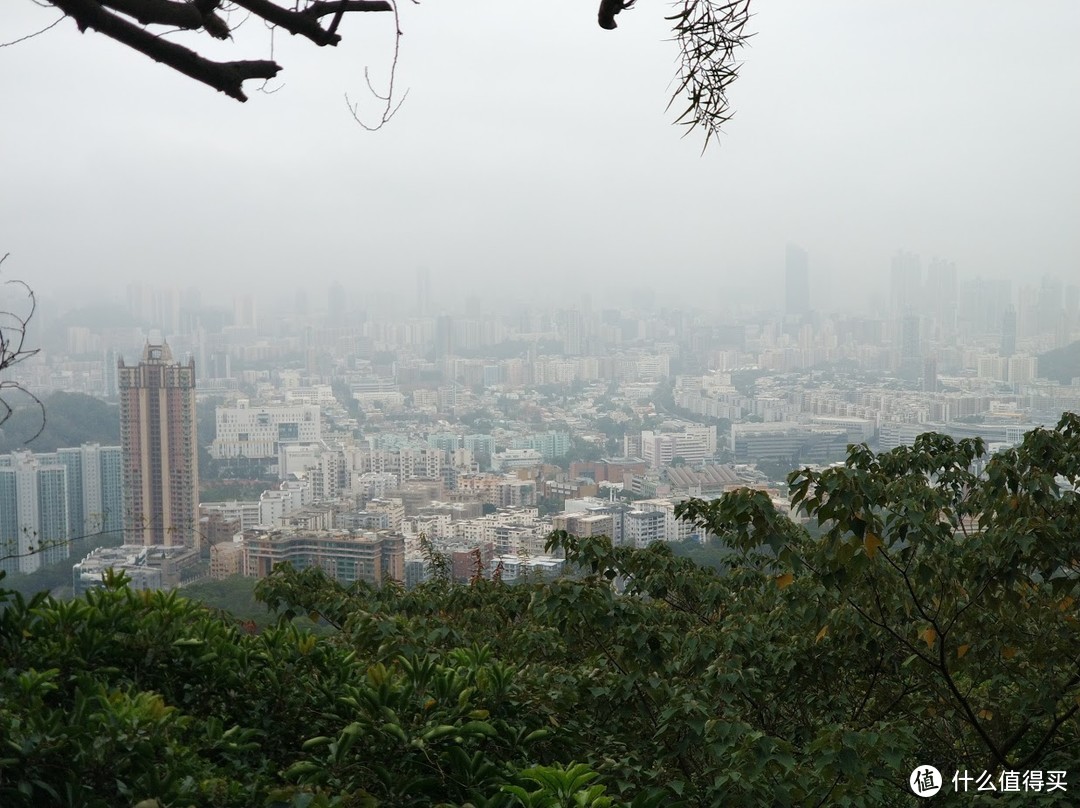 广播道全景