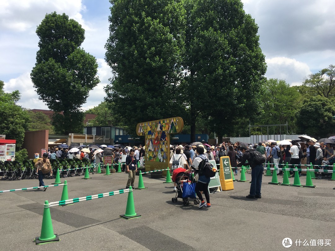 人均八千，从迪士尼到青之森，领略不一样的岛国乡野风光——2018初夏东日本刷签亲子行记