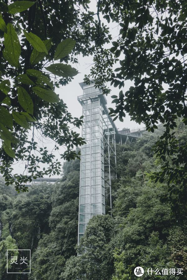 别去张家界了！160米华东最高观光电梯？看一眼就哆嗦！