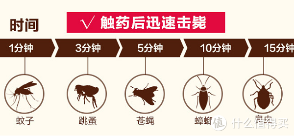 小强住我家怎么办？ 帮你消灭一切害虫