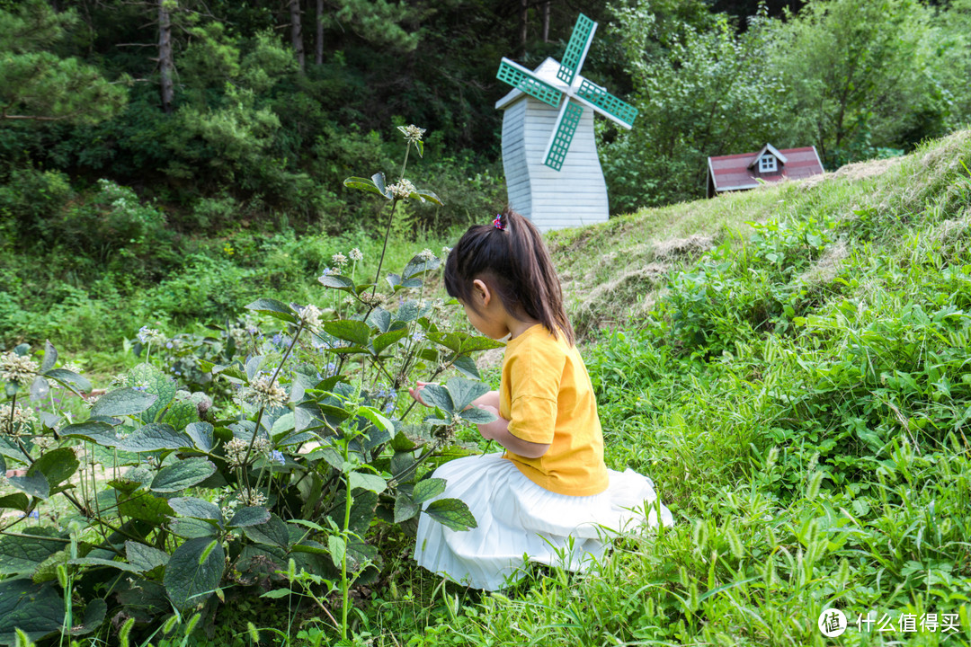 帝都民宿—带着孩子去童话树屋里当个开心的“小精灵”