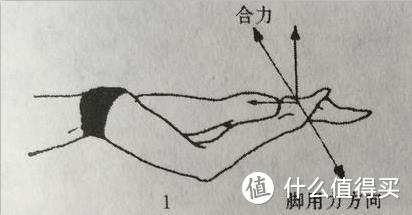 游泳技术怎么学？自由泳（爬泳）篇