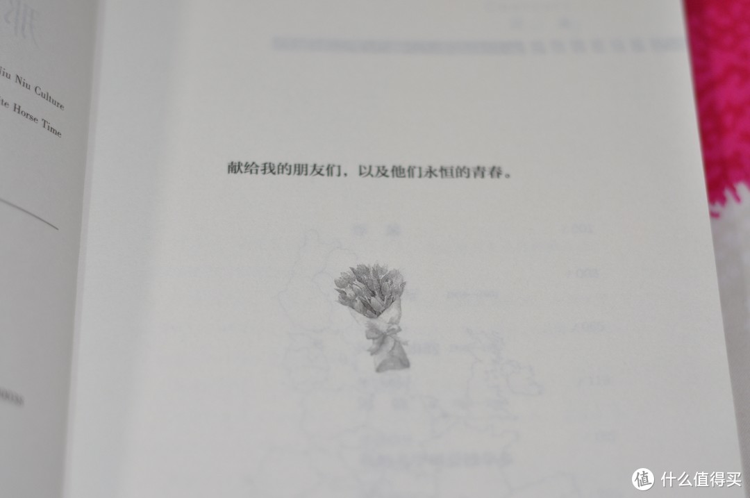 一切事情都有属于它的光亮——读马西米利亚诺·威尔吉利奥《那不勒斯的萤火》