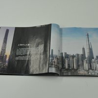 乐高  21039 建筑系列上海天际线使用总结(平板|系列|设计)