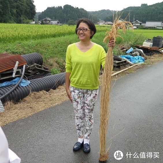 关于日本酒我想你应该知道这些（四） 米为酒之骨