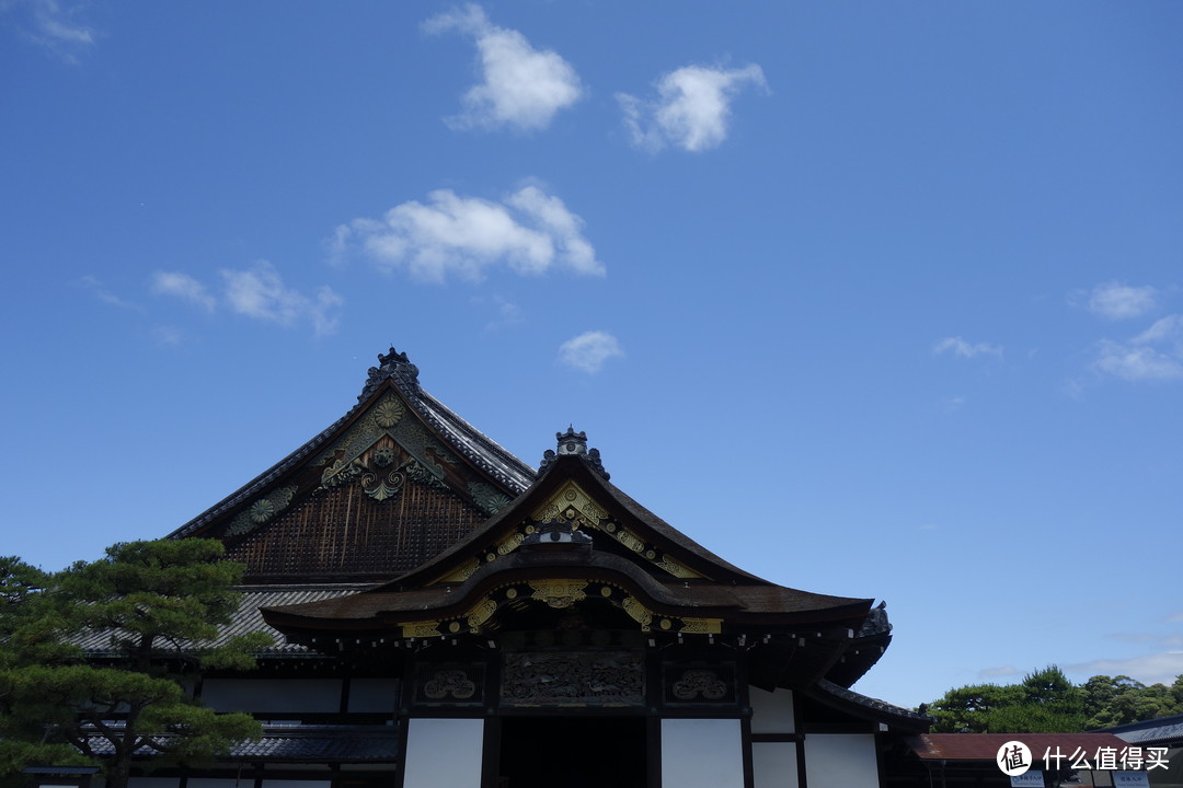 京都逛吃之旅，金阁寺、龙安寺、清水寺、平安神宫、二条城……经典景点进来看