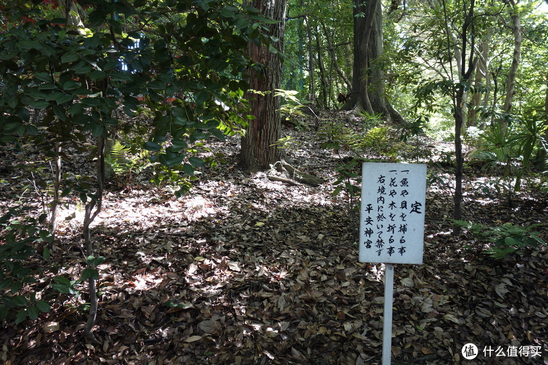 京都逛吃之旅，金阁寺、龙安寺、清水寺、平安神宫、二条城……经典景点进来看