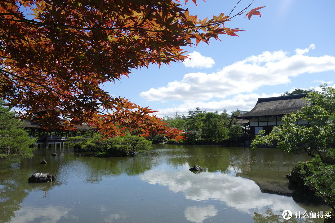 京都逛吃之旅，金阁寺、龙安寺、清水寺、平安神宫、二条城……经典景点进来看