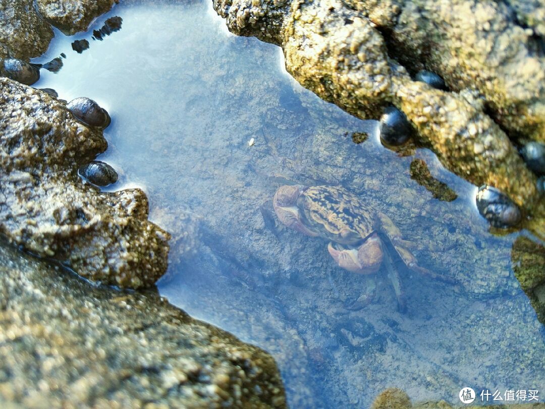 ​东海之东有璀璨东极岛—魔都以东夕阳海岸沙滩洋山岛徒步，寻荒岛露营探秘