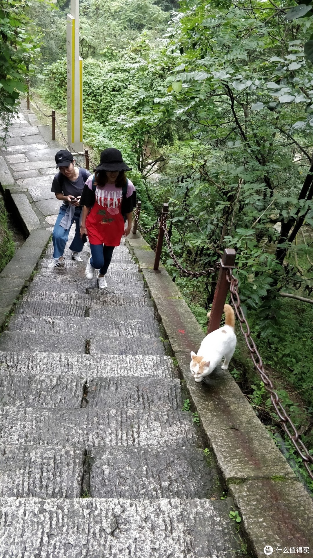 华山行，日出，长空栈道，西峰索道一个也不落