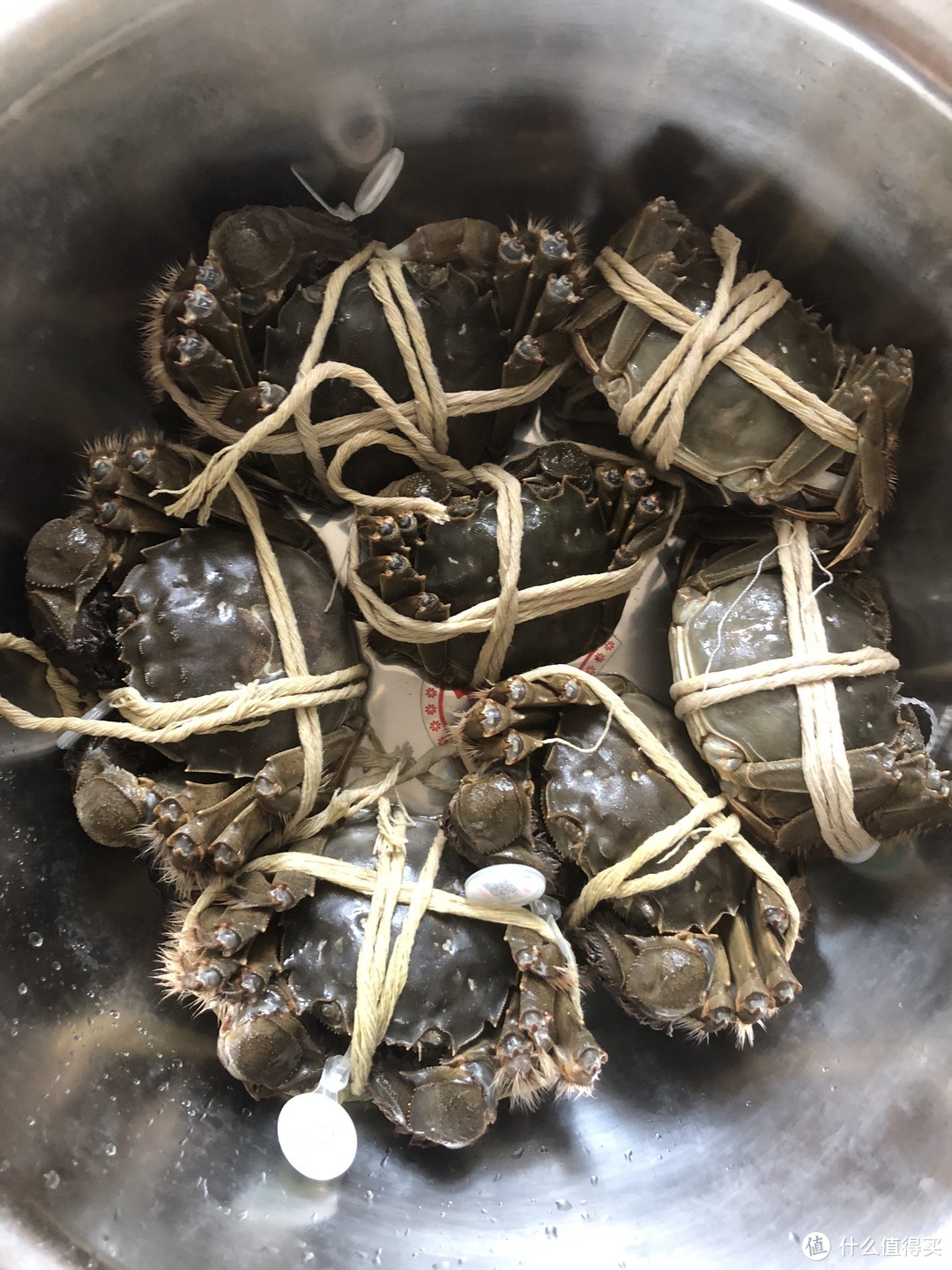 金秋肥蟹——吃货的小确幸