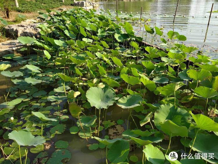 颜之有物，性能彪悍，360旗舰之作一拍照篇