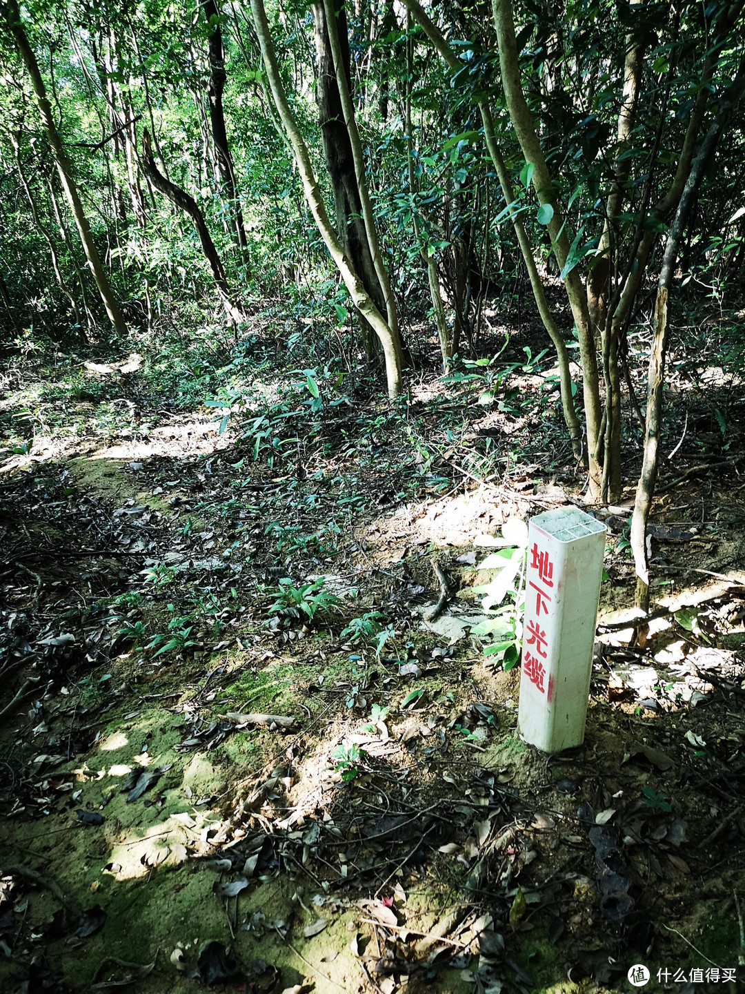 摩旅、户外、摄影，总有一样你喜欢的