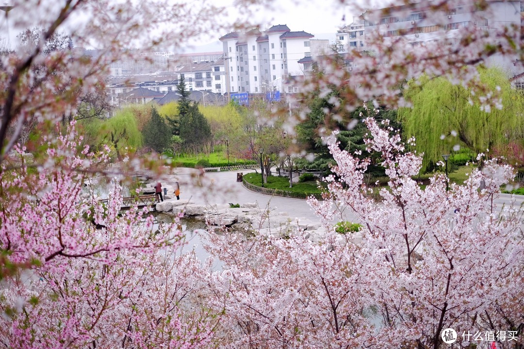 小众美食聚集地，鲜为人知的鲁菜鼻祖—博山菜 吃玩攻略