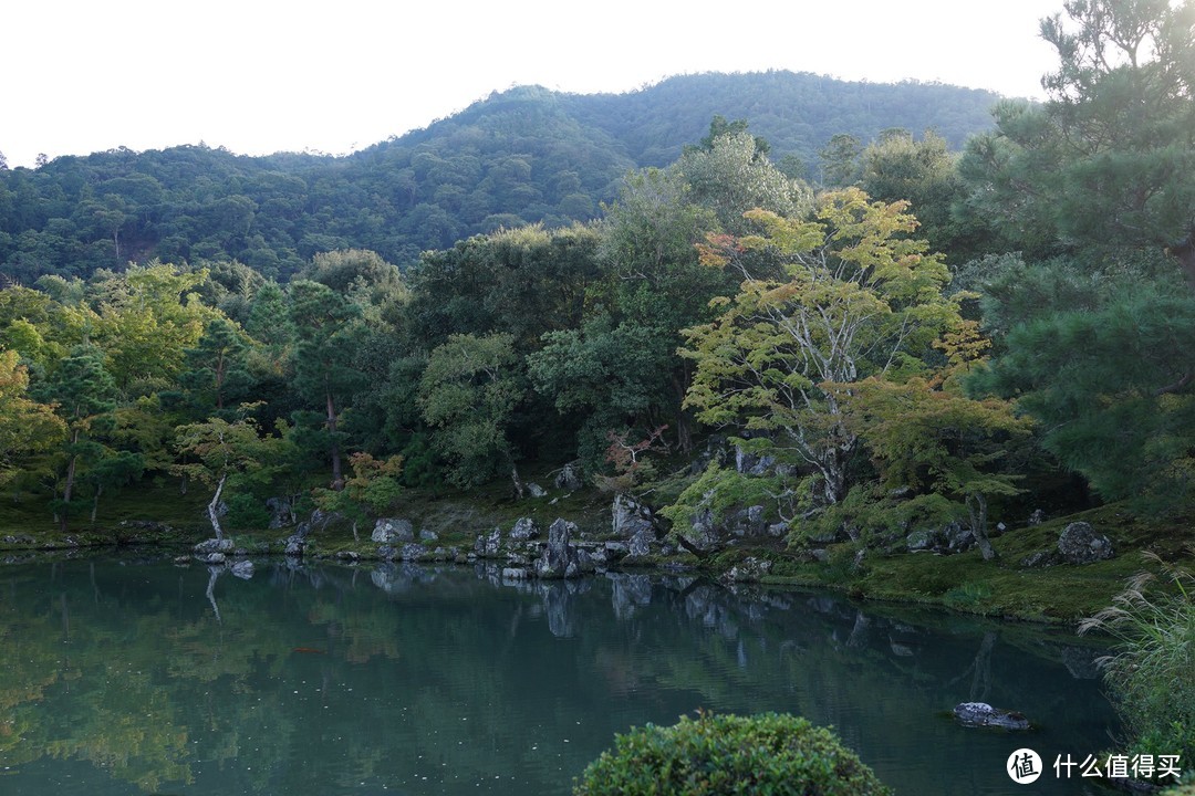 天龙寺院落