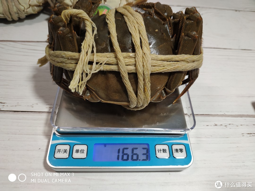 秋风起，蟹脚痒，又到一年品蟹时——今锦上阳澄湖大闸蟹试吃报告