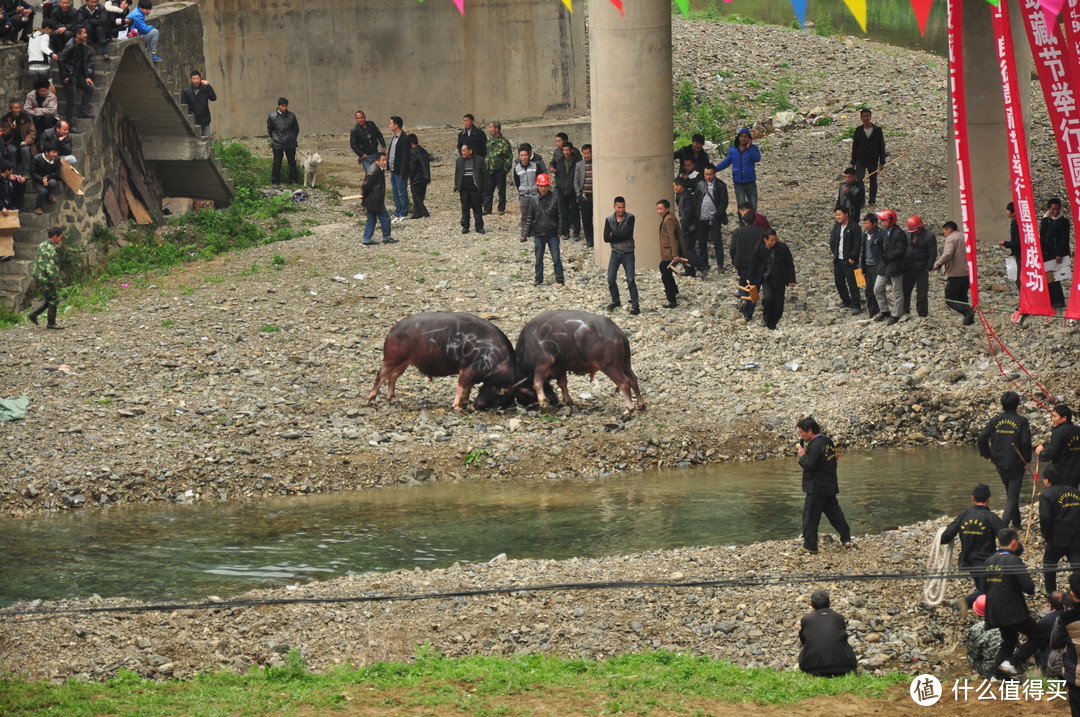 上岸再打，但是已经远离正式比赛场地，，也远离了观众们了