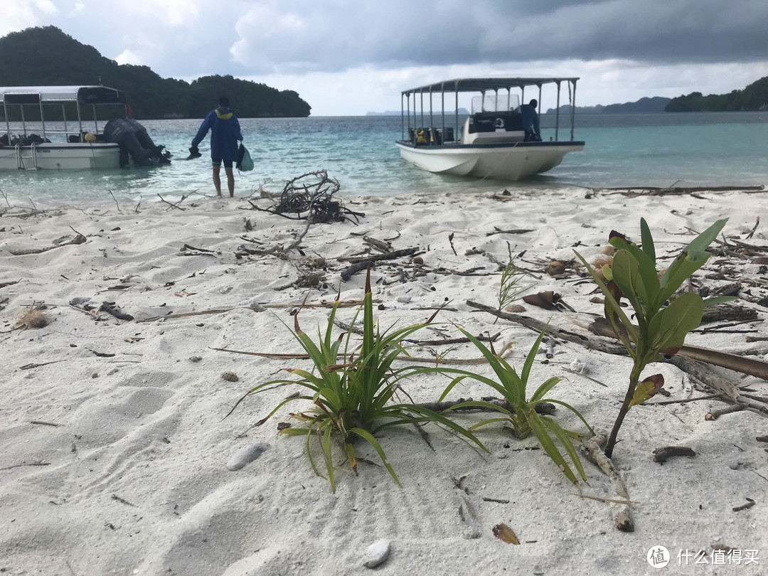 人生就像大海，一浪接着一浪—记帕劳初次水肺潜水