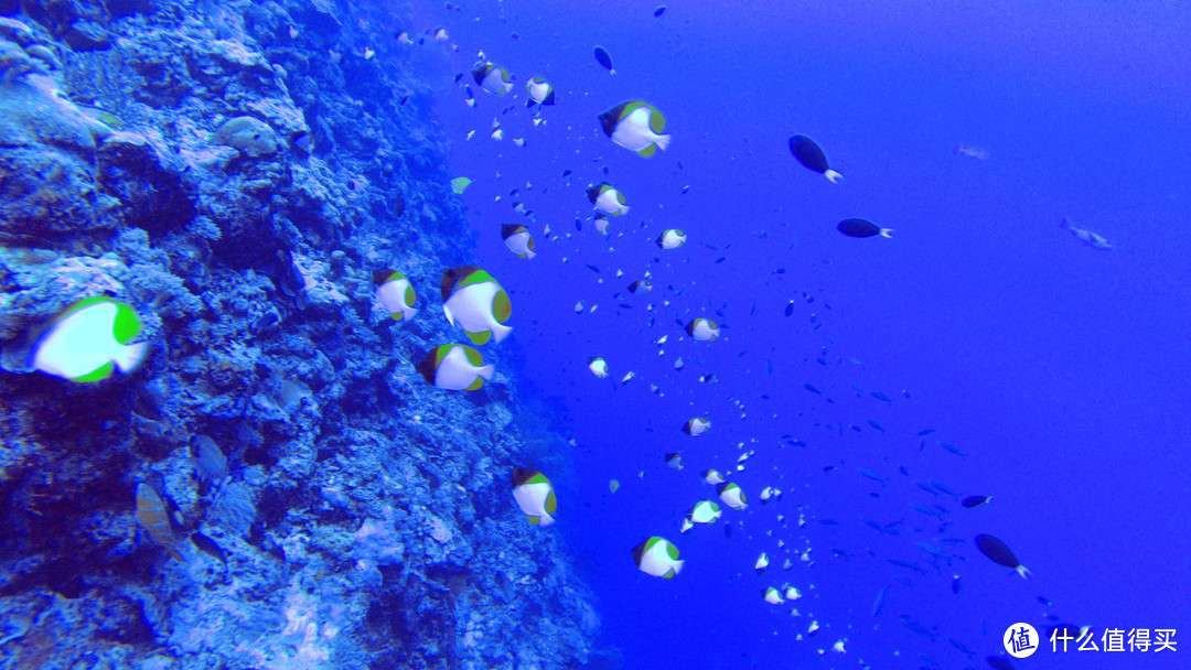 人生就像大海，一浪接着一浪—记帕劳初次水肺潜水