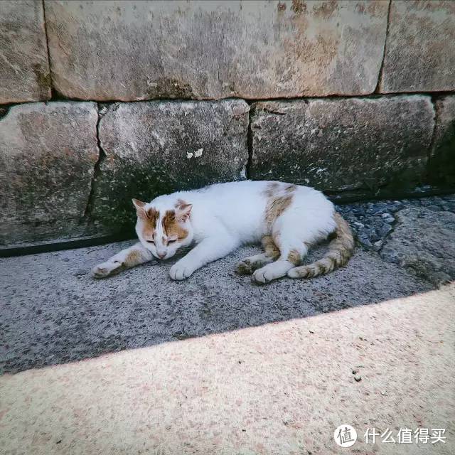 棉花堡，大剧院遗址，守住一溜阴凉