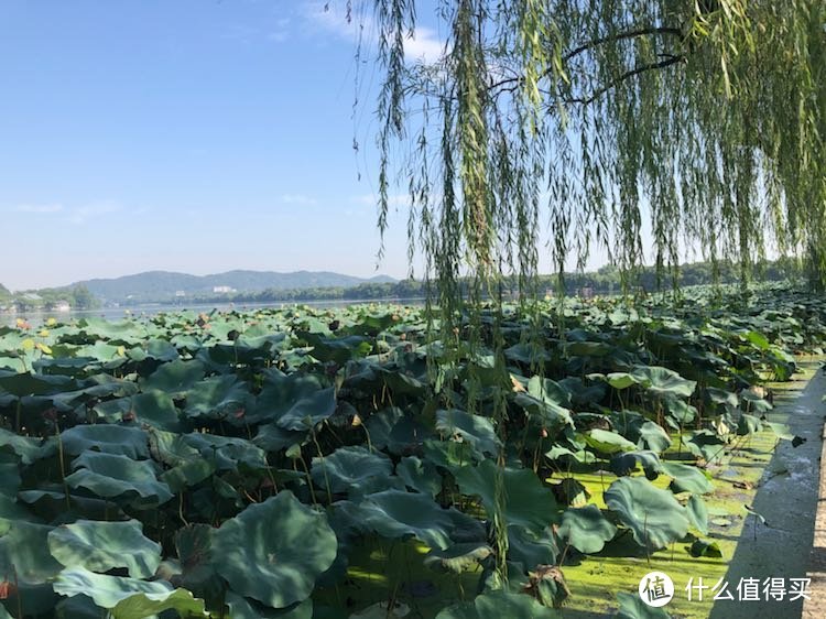 国庆—7天6晚—江浙沪包邮游记—杭州篇