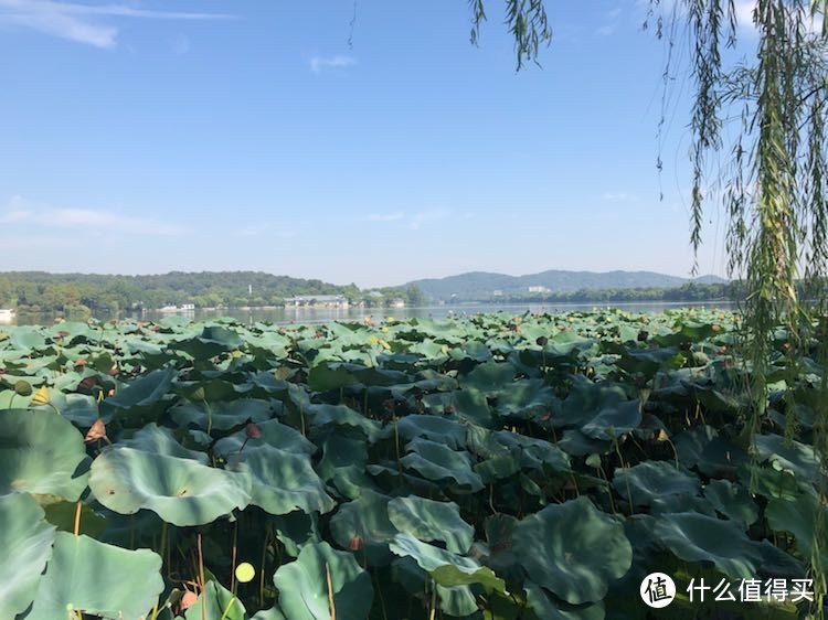 国庆—7天6晚—江浙沪包邮游记—杭州篇