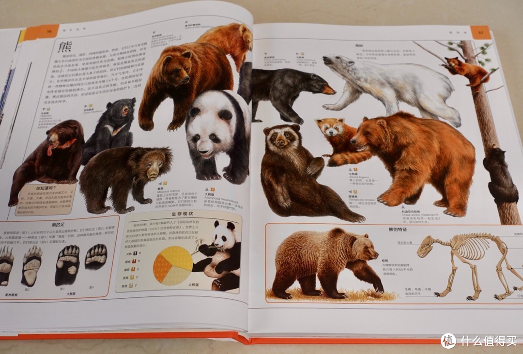 带着《动物博物馆》逛动物园，百科图鉴我只推荐它！