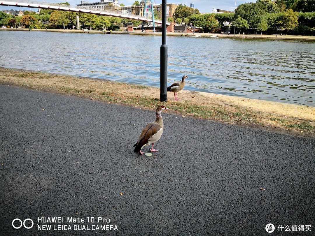 纽伦堡和法兰克福和旅程的结束