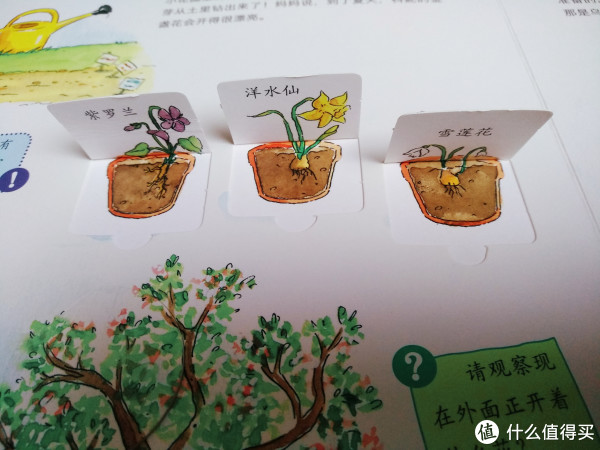 #全民分享季##图书节#推荐一些有趣的翻翻书