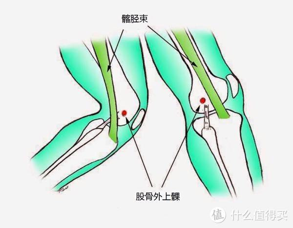 《真健》 篇十：看完这一期，拒绝做“脆膝”