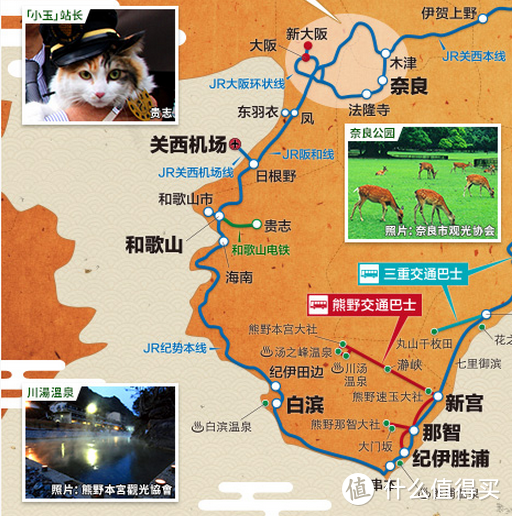 重走伊势路，穿行纪伊半岛熊野古道的近畿与东海中部地方解析