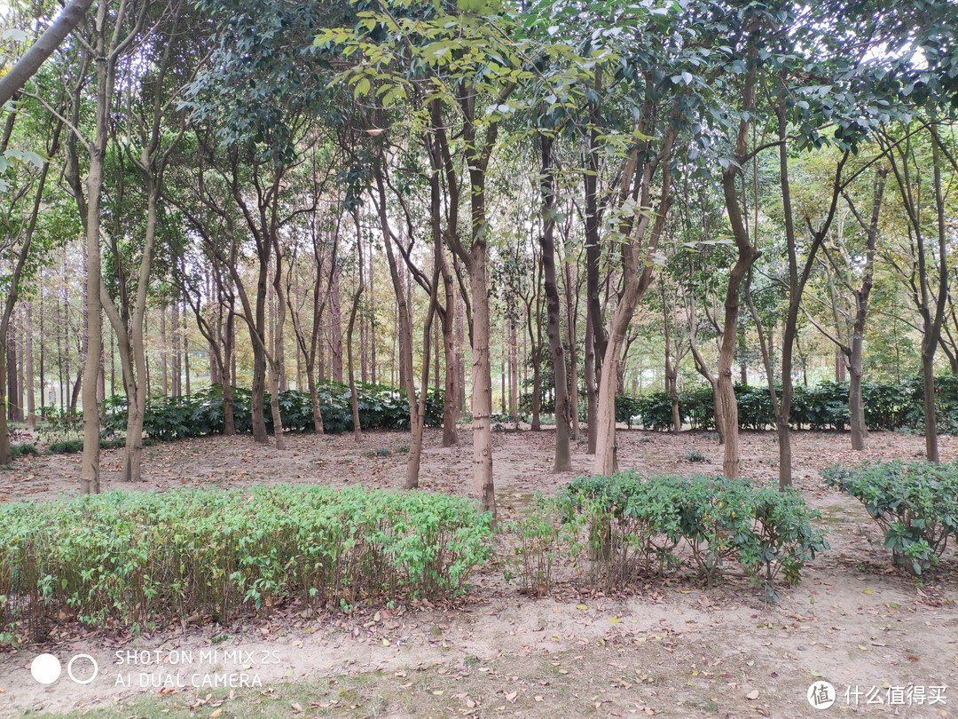 上海最被低估和忽略的好公园