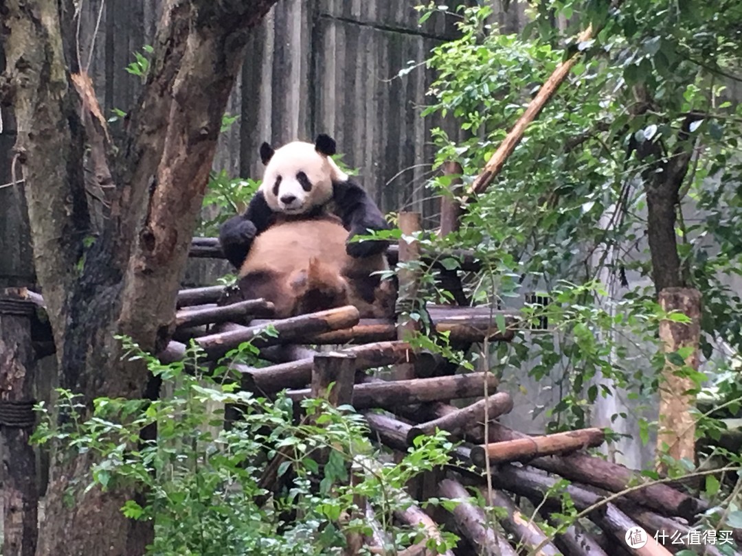 十一川西自驾游 篇三