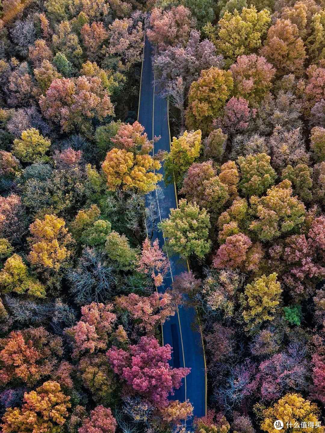 紫金山