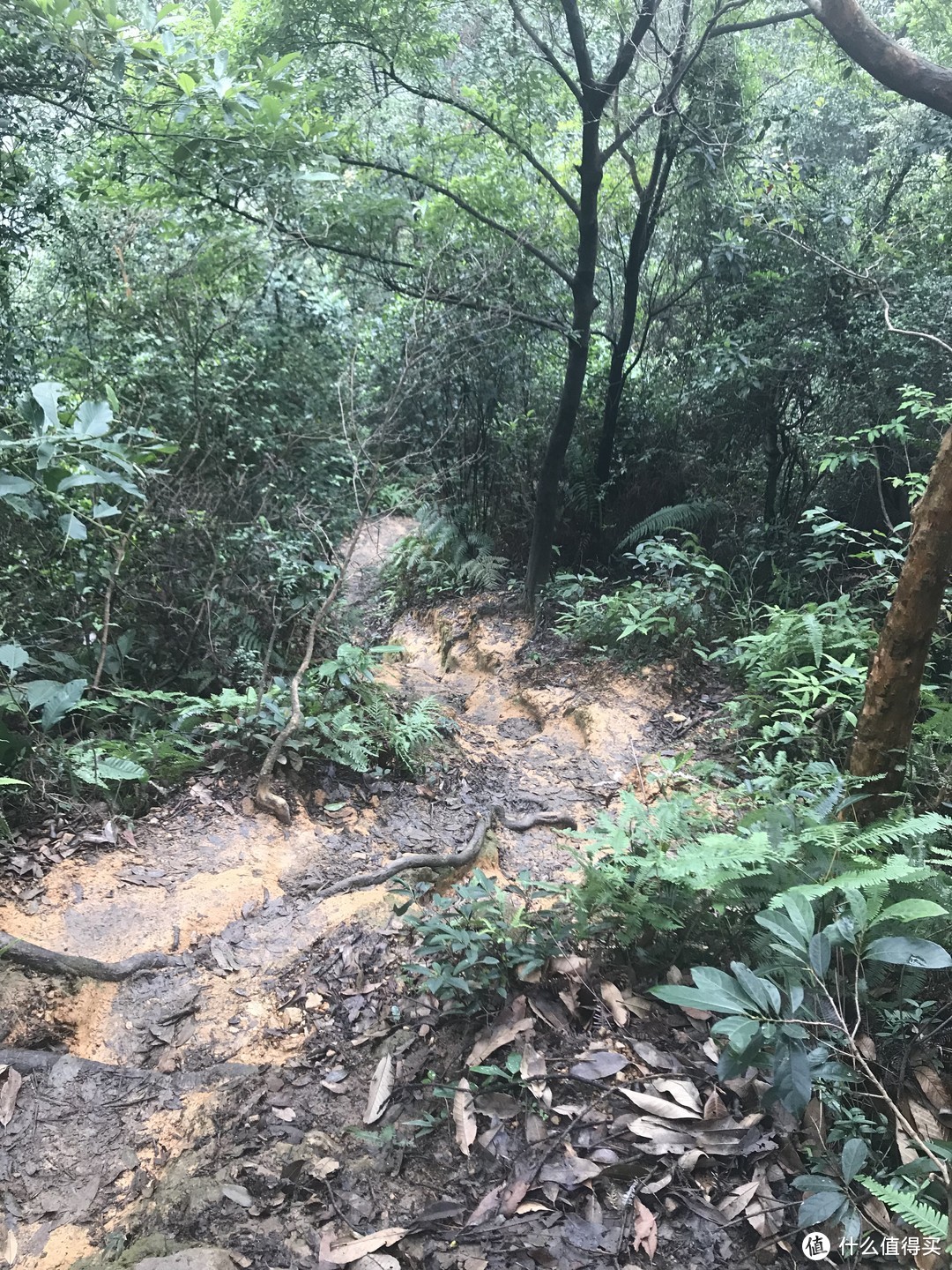 陆地最悍，GWG1000联名款，没有驾驭不住，只有敢不敢驾驭！