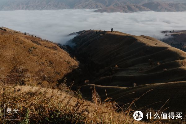 深秋与新疆的约会，假装在瑞士