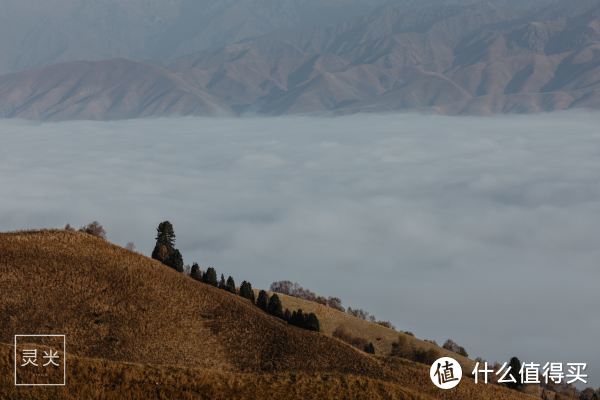 深秋与新疆的约会，假装在瑞士